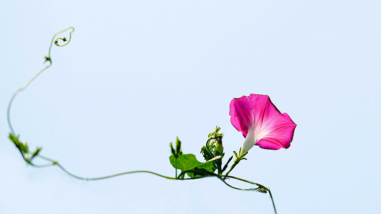 1588644834244415.png 微信圖片_20200505101003.png