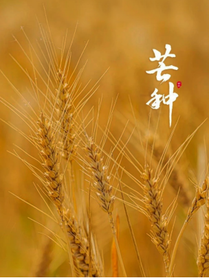 1686032574272353.png image.png